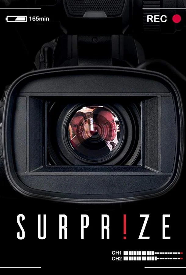 Постер к Сюрприз (2017)